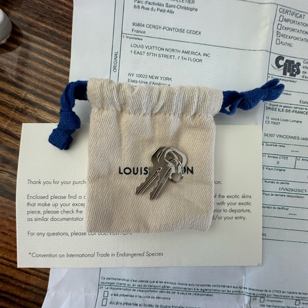 Louis Vuitton Python City Steamer - image 8